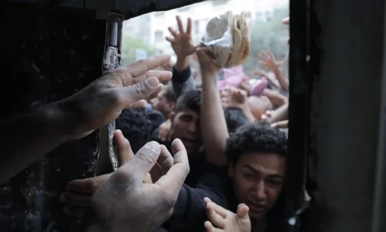 WFP Konfirmasi Penjarahan Truk Bantuan Setelah Israel Membunuh 6 Pengawalan Polisi di Gaza