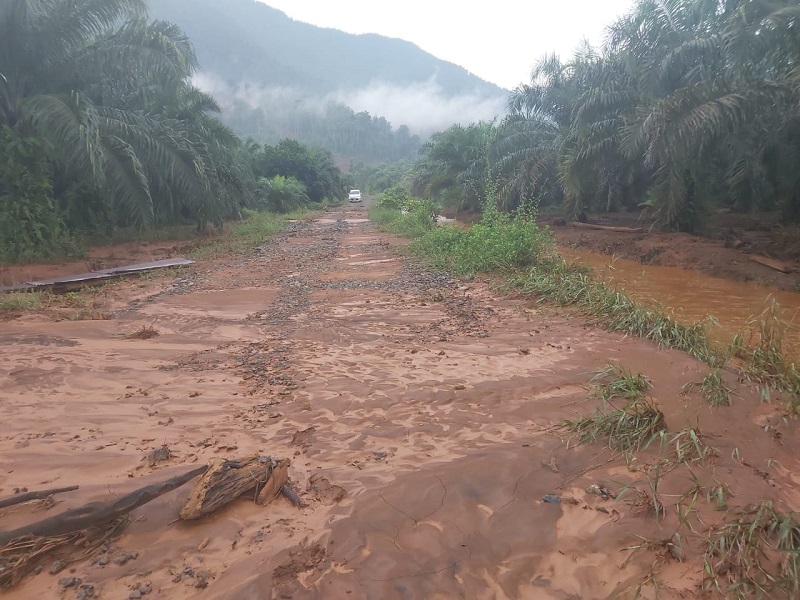 Aktivitas PT. SSP di Petasia Barat Jadi Sorotan, Kebun Sawit Warga Tergenang Lumpur