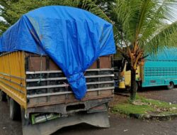Cerita Purnawirawan TNI Didatangi Oknum Aparat Saat Menahan Kayu dari Cagar Alam Taronggo
