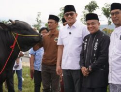 Diserahkan Menteri P2MI, Wali Kota Palu Resmi Terima Bantuan Sapi Presiden Prabowo