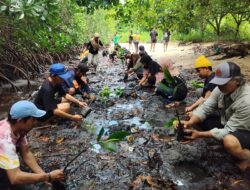 FKPAPT Parimo Tanam 1000 Bibit Mangrove di Demplot Rehabilitas Desa Mertasari