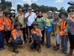 Kunjungan Wamenaker RI di Pomalaa, Tegaskan Peran Strategis PT Vale dalam Membangun Industri Pertambangan Berkelanjutan