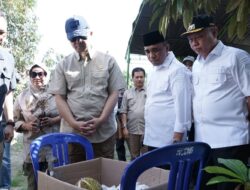 Menteri Transmigrasi Tinjau Potensi Perkebunan di Sigi, Dorong Kawasan Ekonomi Terintegrasi