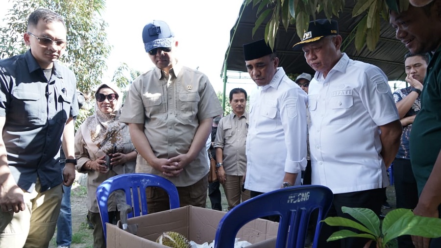 Menteri Transmigrasi Tinjau Potensi Perkebunan di Sigi, Dorong Kawasan Ekonomi Terintegrasi