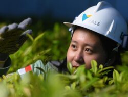 Mereplikasi IGP Sorowako, PT Vale Komitmen Mewariskan Tambang Hijau di Morowali