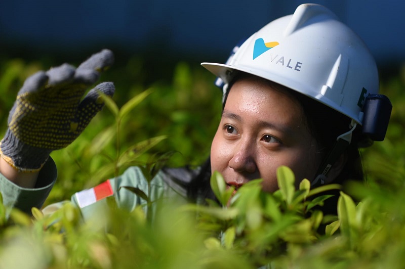 Mereplikasi IGP Sorowako, PT Vale Komitmen Mewariskan Tambang Hijau di Morowali