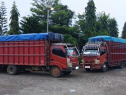 Pengangkutan Kayu Dugaan Pembalakan Liar dari Hutan Cagar Alam Taronggo Terus Terjadi, Aparat Terkesan Cuek, Ada Apa?