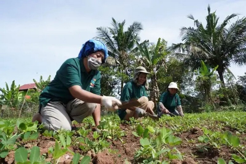 Tanggung Jawab Sosial Bukan Hanya Aktivitas Tambahan, PT Vale Jadi Rujukan Pengelolaan CSR
