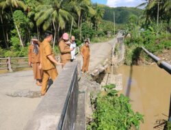 Bupati Donggala Tinjau Lokasi Terdampak Banjir di Desa Powelua