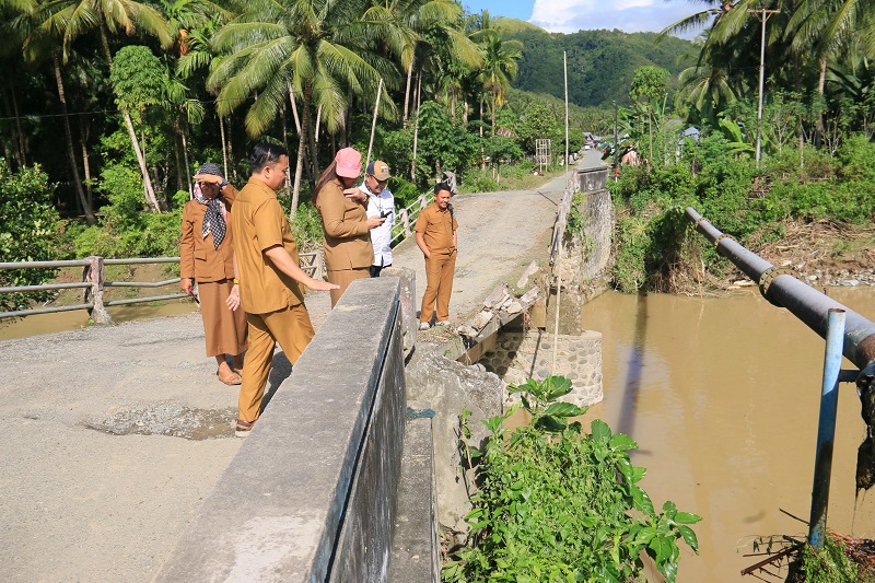 Bupati Donggala Tinjau Lokasi Terdampak Banjir di Desa Powelua