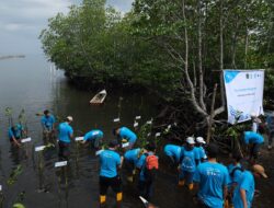 Peringati Hari Mangrove Sedunia, PT Vale Tanam Ribuan Mangrove dan Restorasi Terumbu Karang di Pesisir Malili