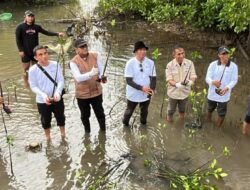 DKP Sulteng Tanam 1.500 Bibit Mangrove di Pesisir Pantai Donggala