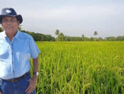 NTP Sulteng Semester Pertama Tahun 2025 Cenderung Turun, Tanaman Pangan & Perikanan Tertinggal, Perlu Peta Jalan Intervensi Program BERANI