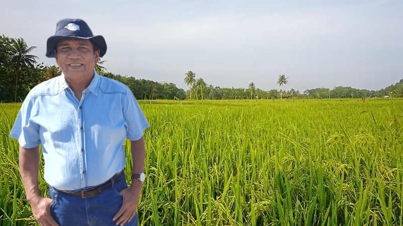 NTP Sulteng Semester Pertama Tahun 2025 Cenderung Turun, Tanaman Pangan & Perikanan Tertinggal, Perlu Peta Jalan Intervensi Program Berani