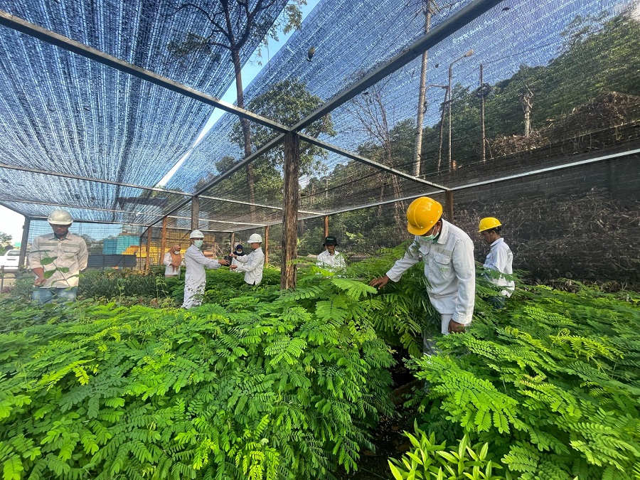 PT BDM Target Reklamasi 1.337 Hektare Lahan Pascatambang