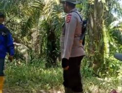 PT KLS Beraktivitas di Kawasan yang Ditertibkan Satgas PKH Sulteng, Keberadaan Oknum Polisi Dipertanyakan
