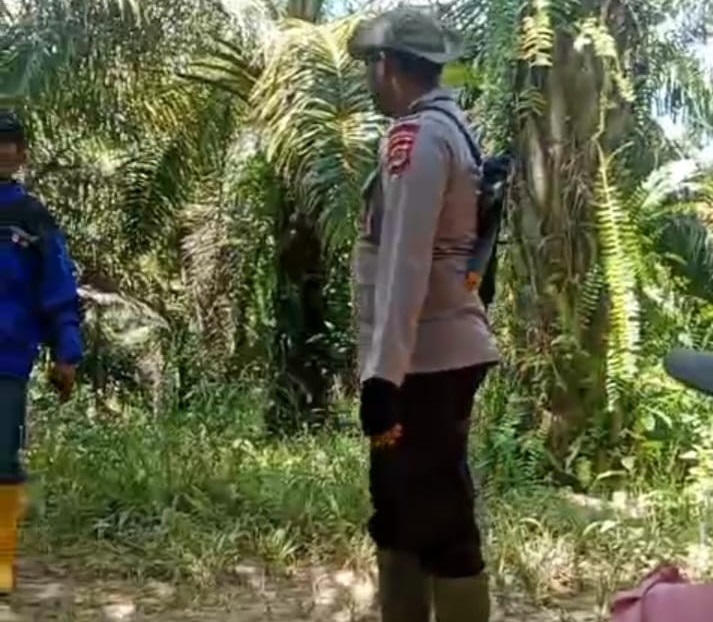 PT KLS Beraktivitas di Kawasan yang Ditertibkan Satgas PKH Sulteng, Keberadaan Oknum Polisi Dipertanyakan