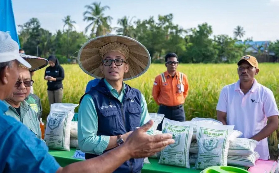 Pertanian Tanpa Zat Kimia, Tim PPM PT Vale Mengubah Keraguan Petani Jadi Keyakinan