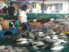 Warga Minta KKP Segera Realisasikan Pembangunan Pasar Ikan Ranai di Natuna