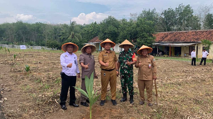 Dukung Ketahanan Pangan Nasional, 200 Bibit Pohon Kelapa ditanam di SAE Lapas Way Kanan