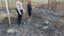 Polisi Masih Menyelidiki Kasus Kebakaran Hutan di Desa Mora, Morowali Utara