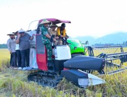 Panen Raya Padi Perdana di Sibalaya Sigi, Gubernur Sulteng Serahkan Alsintan Bantuan Kementan