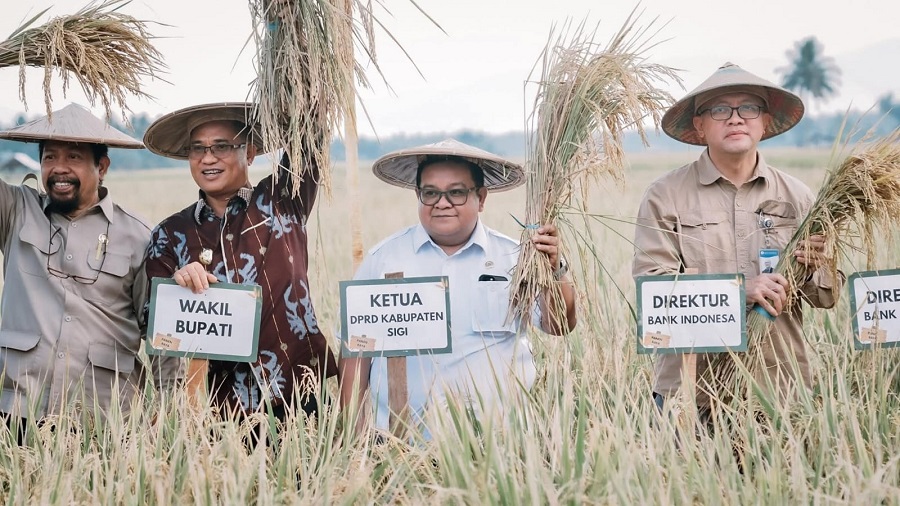 Panen Raya di Desa Sibalaya Utara, Bukti Sigi Mampu Bangkit dari Keterpurukan
