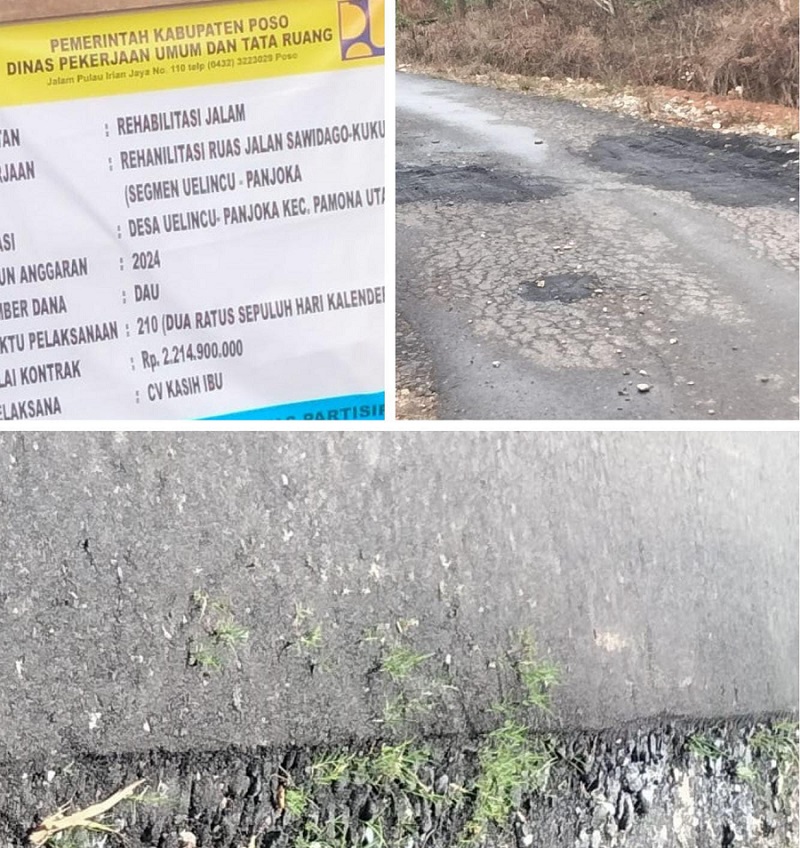 Ruas Jalan Uelincu- Panjoka dan Panjoka- Kuku, Kabupaten Poso Usai Rehab Rp2,7 M Ditumbuhi Rumput