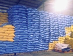 Stok Beras di Gudang Bulog Morowali Capai 1.077 Ton