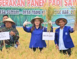 Bupati Donggala Panen Padi dan Tinjau Irigasi Pertanian di Sumari