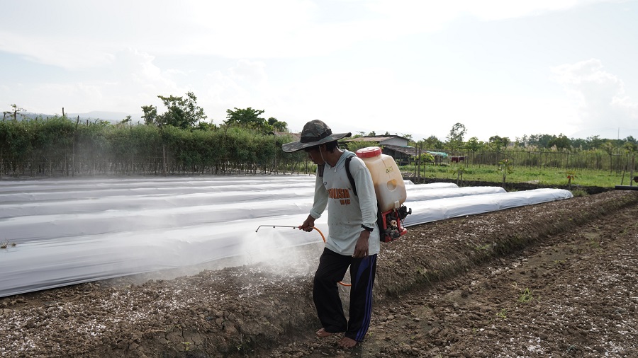 IMIP Berdayakan Petani Bahodopi Kembangkan Agribisnis Modern