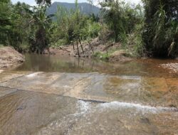 Kualitas Air Towuti Aman dan Pemulihan Berjalan Terukur, PT Vale: 11 Titik Kembali Jernih