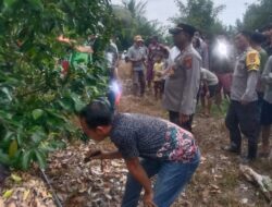 Pamit Mencari Rebung, Lansia di Banggai Ditemukan Tewas Tergantung di Pohon