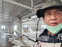 Pasca-Terpapar Radioaktif dan Antibiotik, Tantangan Industri Udang Perlu Dibenahi Secara Holistik dan Totalitas