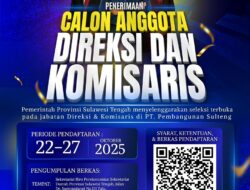 Seleksi Terbuka Calon Direksi dan Komisaris PT Pembangunan Sulteng, Ini Persyaratannya