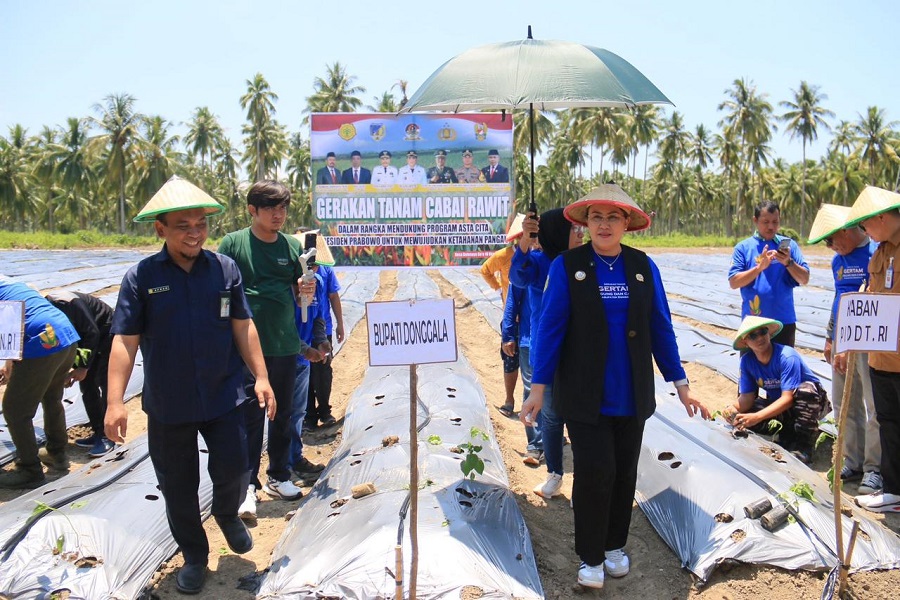 Siasati Efisiensi Anggaran, Pemkab Donggala Intens Lobi Kementerian