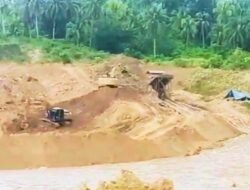 WALHI Sulteng: Menghilangkan Lumbung Pangan Parimo, Mengganti dengan Tambang Rakyat