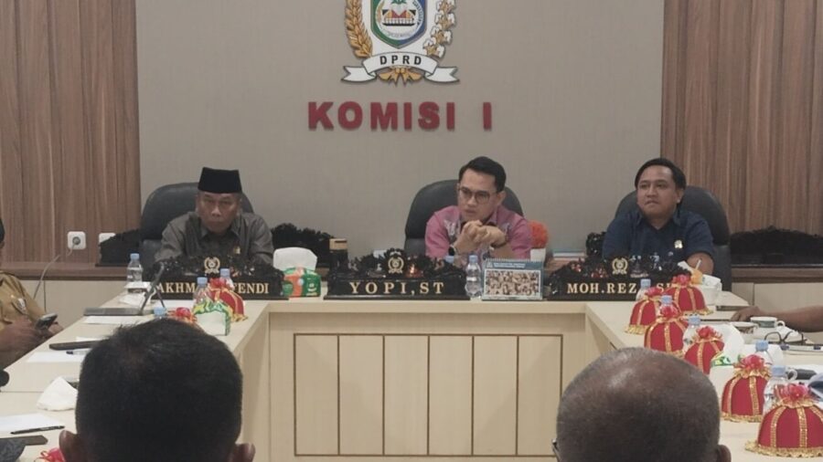 wakil ketua komisi i dprd morowali hasil rdpu sudah tepat