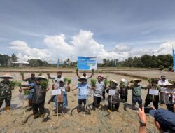 Akselerasi Kemandirian Pangan Kolaka Kolaborasi PT Vale dan Pemerintah