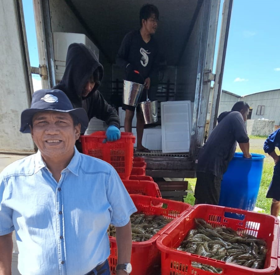 Bisnis Udang RI Makin Pelik, Bisa Produksi Tapi Sulit Jual, Pembenahan Mesti Totalitas