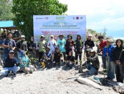 IMIP Melibatkan Generasi Muda Tanam Mangrove di Teluk Palu