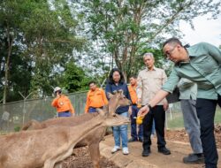Kunjungi PT Vale, Deputi KLH Saksikan Pertambangan Risiko ESG Terendah di Dunia