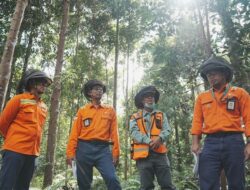 PT Vale Sukses Restorasi Ekosistem Ultrabasa Jadi Arboretum di Jantung Sulawesi