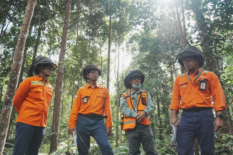 PT Vale Sukses Restorasi Ekosistem Ultrabasa Jadi Arboretum di Jantung Sulawesi