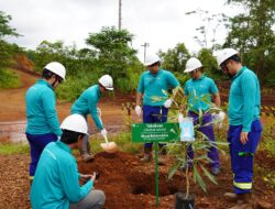 PT Vale di Seluruh Wilayah Operasional Aksi Tanam Ribuan Bibit Pohon di Momen HMPI