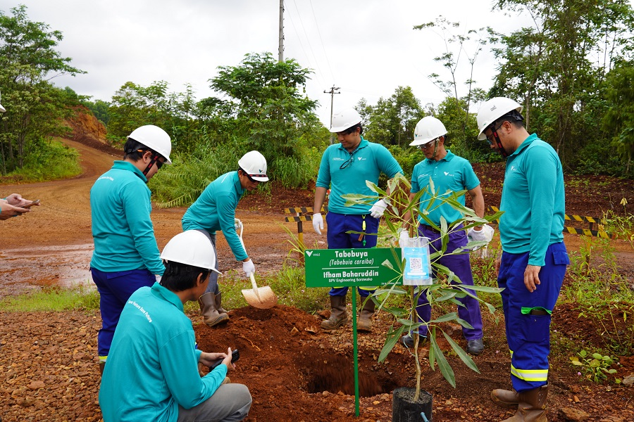 PT Vale di Seluruh Wilayah Operasional Aksi Tanam Ribuan Bibit Pohon di Momen HMPI