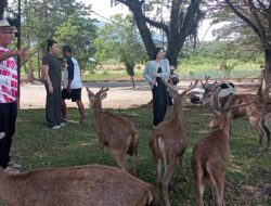 Dahlan Iskan Kunjungi Penangkaran Rusa Milik Gubernur Sulteng