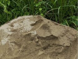 Material Pasir Proyek DI Binontoan Tolitoli Diduga Bercampur Lumpur