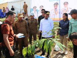 Penguatan Ketahanan Daerah, PT Vale Kolaborasi Pemda Mitigasi Banjir di Luwu Utara