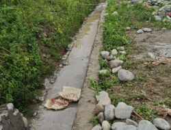 Proyek Irigasi Dirjen SDA di Sulteng Menyeberang Tahun, Petani Tak Bisa Garap Sawah